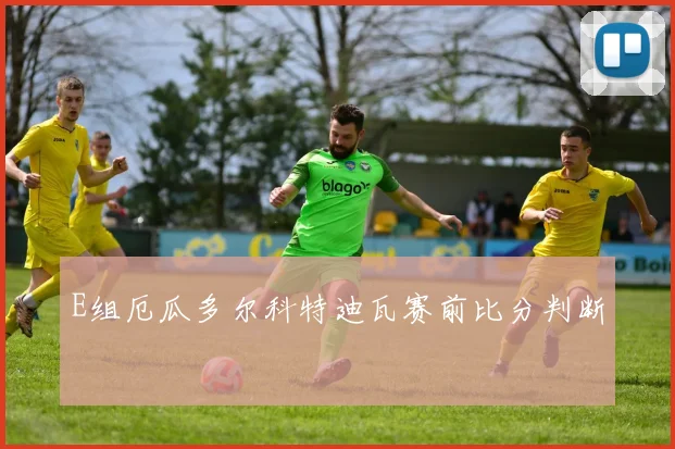 E组厄瓜多尔科特迪瓦赛前比分判断