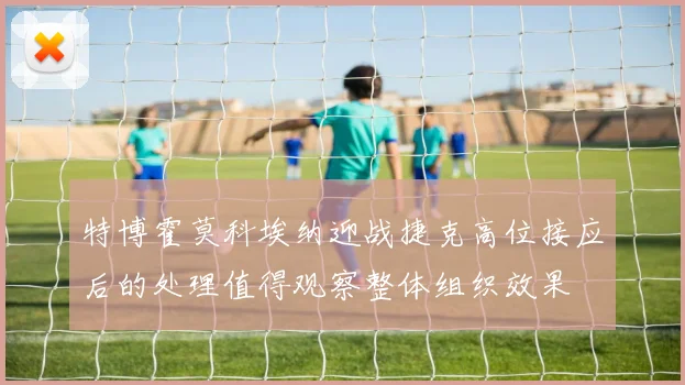 特博霍莫科埃纳迎战捷克高位接应后的处理值得观察整体组织效果