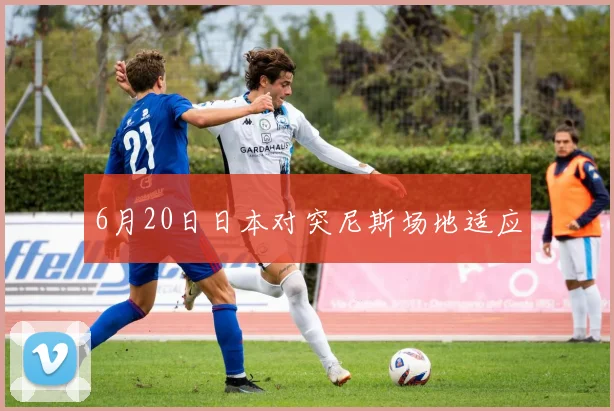 6月20日日本对突尼斯场地适应